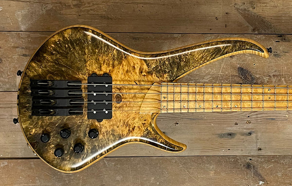 F bass BN-5 buckeye burl Club F-Bass (Part 6) | Page 3 | TalkBass.