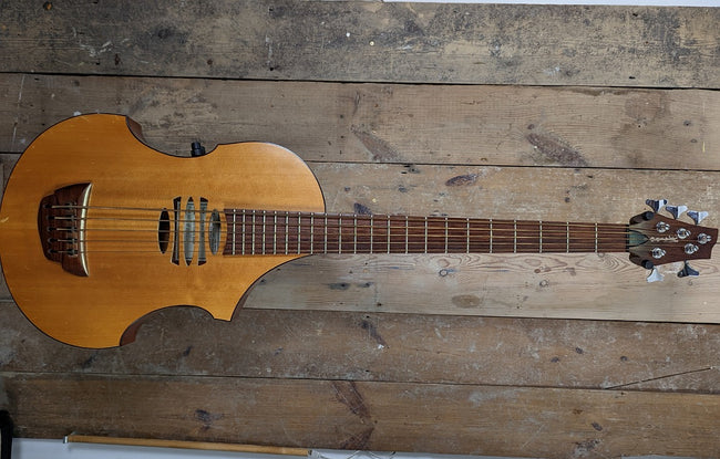 Overwater Expression 5 semi acoustic