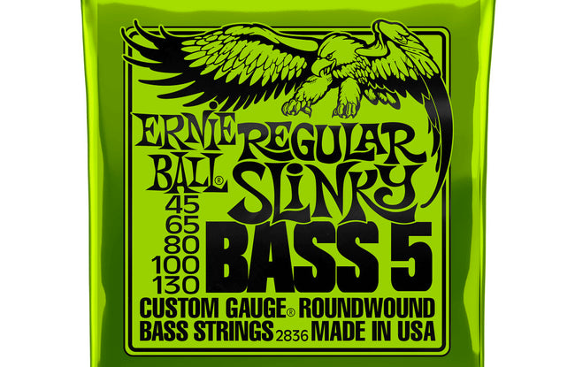 Ernie Ball Regular Slinky 5 String 45-130 - The Bass Gallery