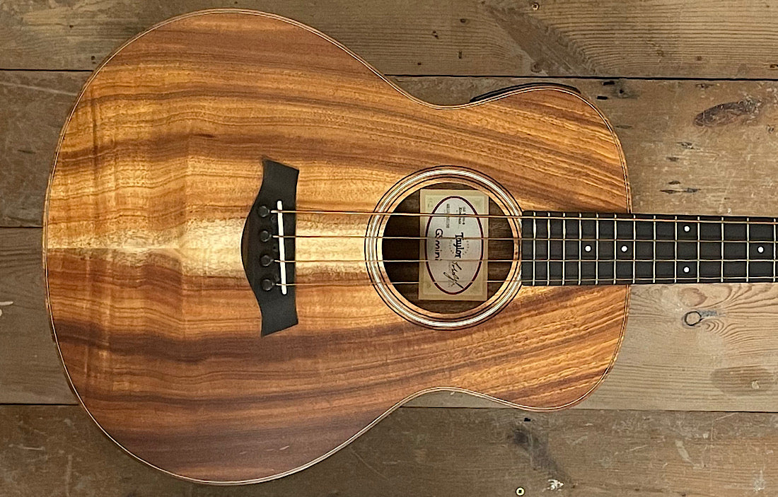 Taylor GSminiE (Pre Owned)