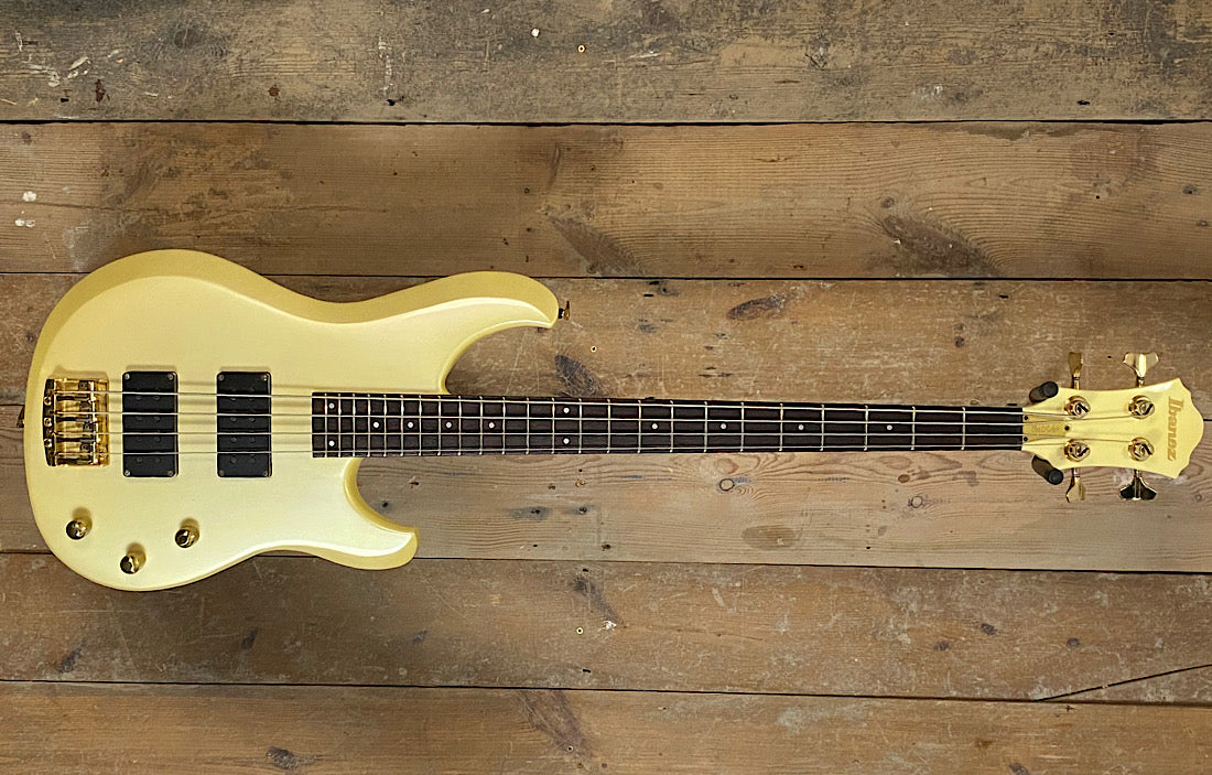 Ibanez Musician