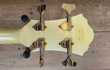 Ibanez Musician