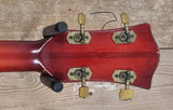 Hofner Verithin