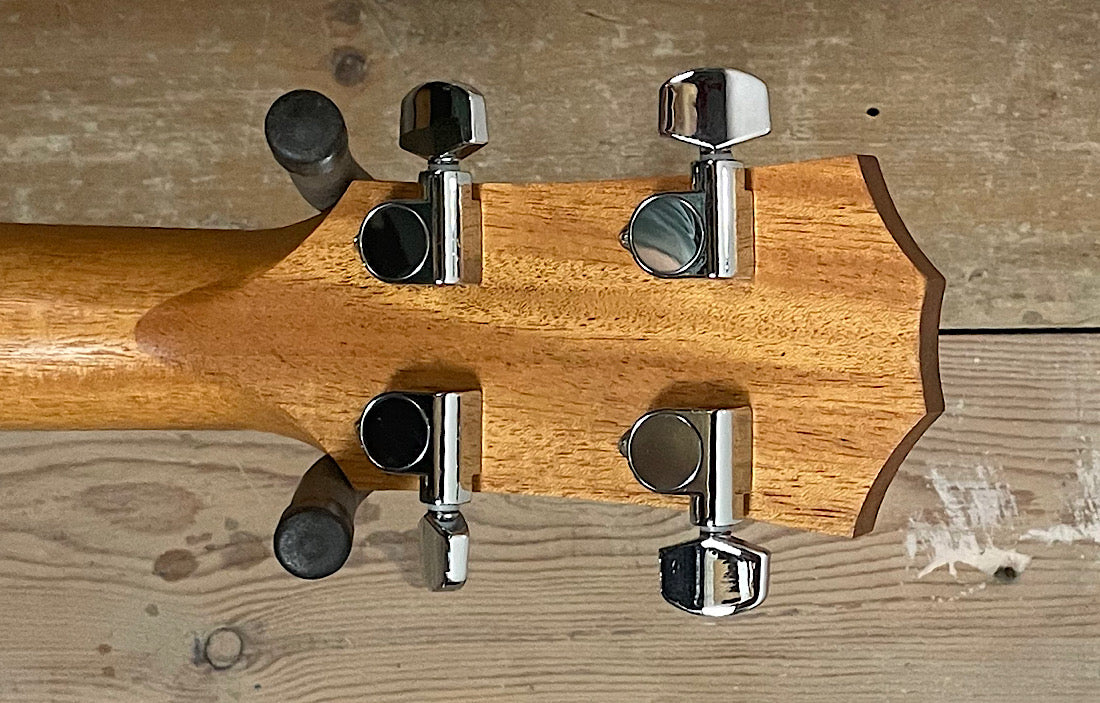 Taylor GSminiE (Pre Owned)