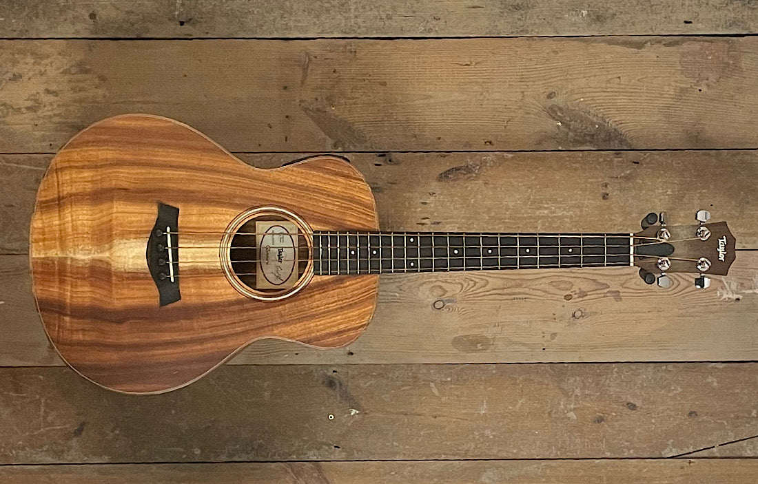 Taylor GSminiE (Pre Owned)