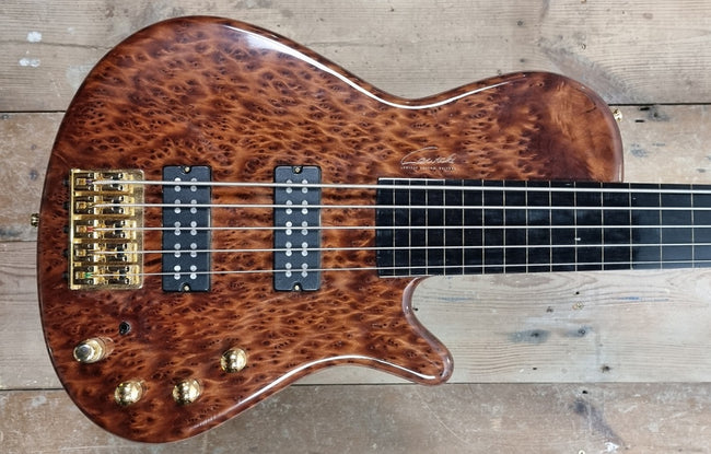 Lewicki Custom Fretless V