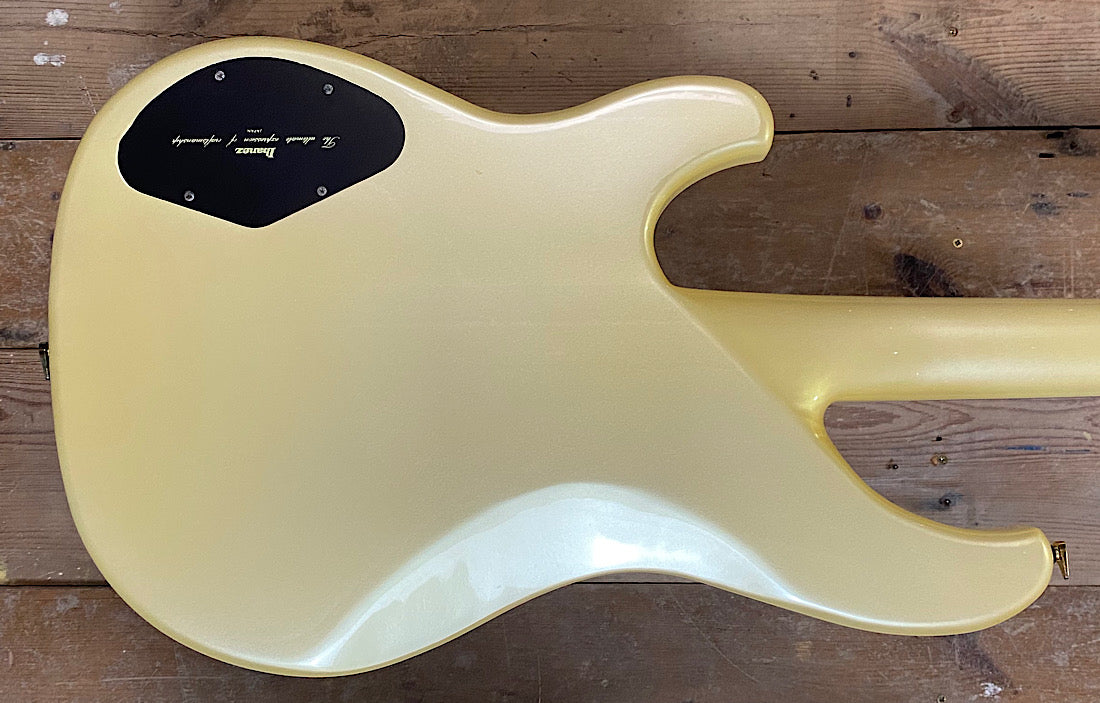 Ibanez Musician