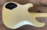 Ibanez Musician