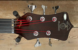 Alembic Europa
