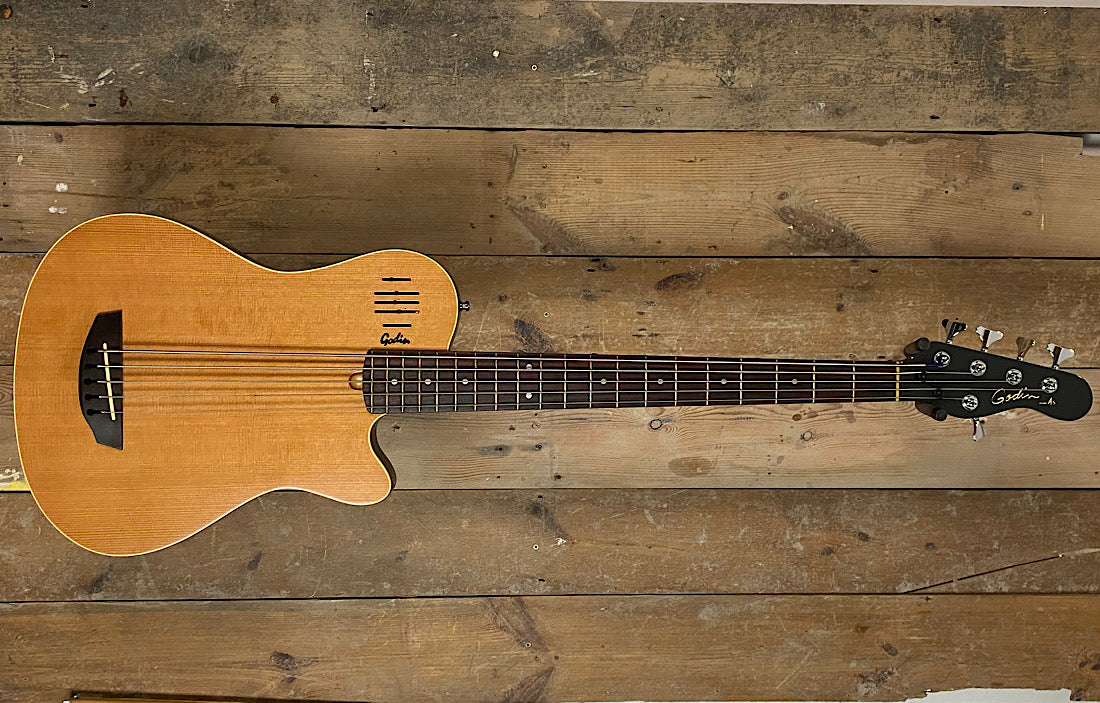 Godin A5