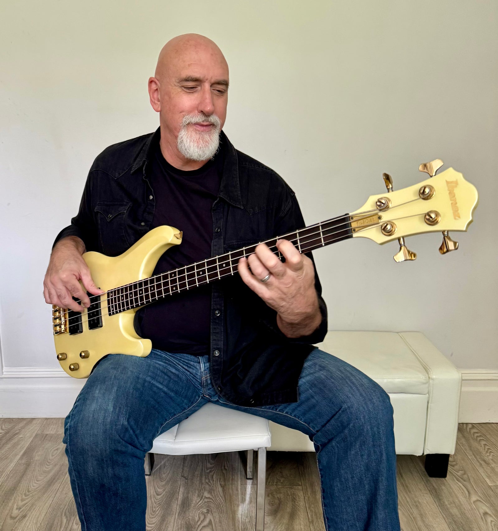 Ibanez Musician