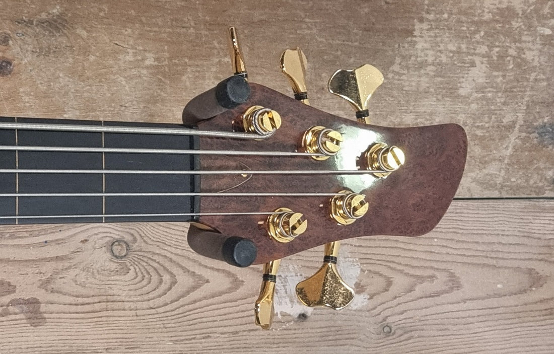 Lewicki Custom Fretless V