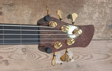 Lewicki Custom Fretless V