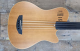 Godin A4
