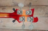 Ibanez Rickenbacker Copy