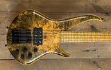 Sei Flamboyant Buckeye Burl Top