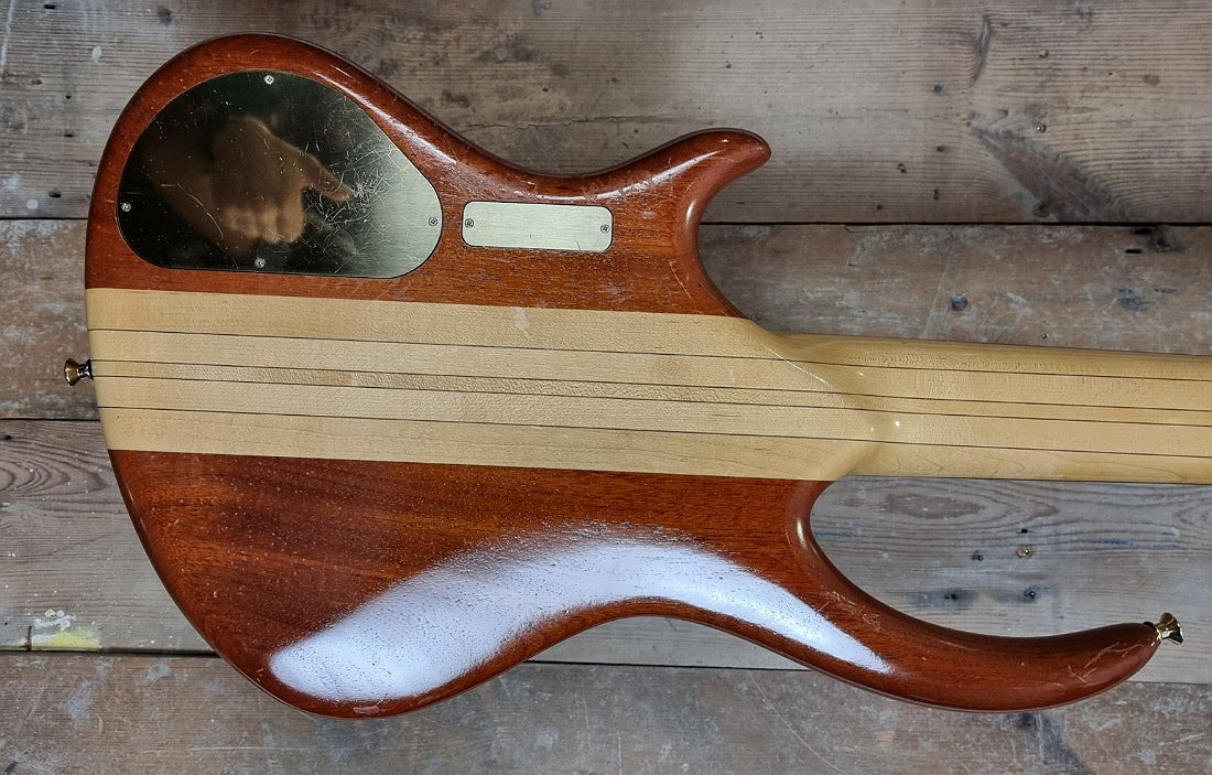Alembic Rogue V