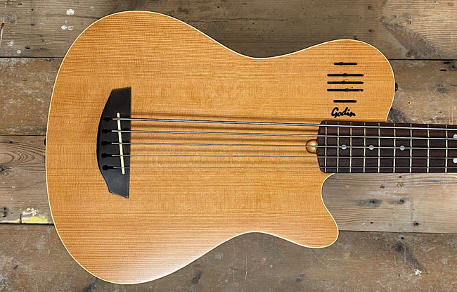 Godin A5