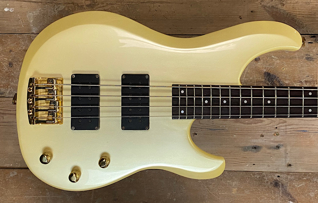 Ibanez Musician