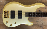 Ibanez Musician