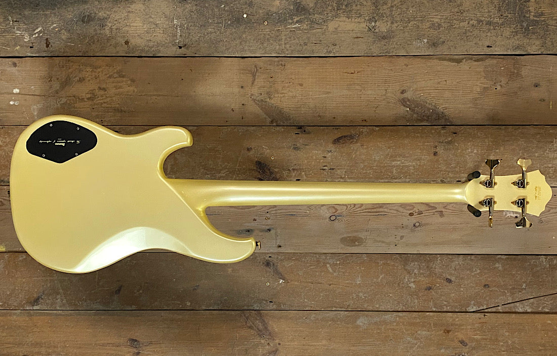 Ibanez Musician