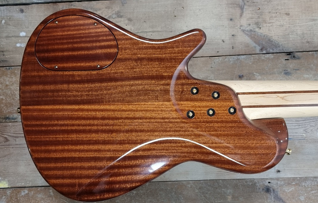 Lewicki Custom Fretless V