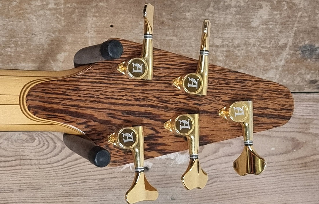 Alembic Rogue V