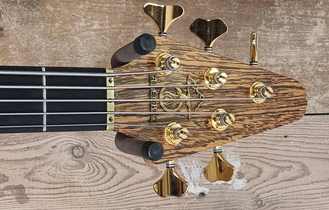 Alembic Rogue V