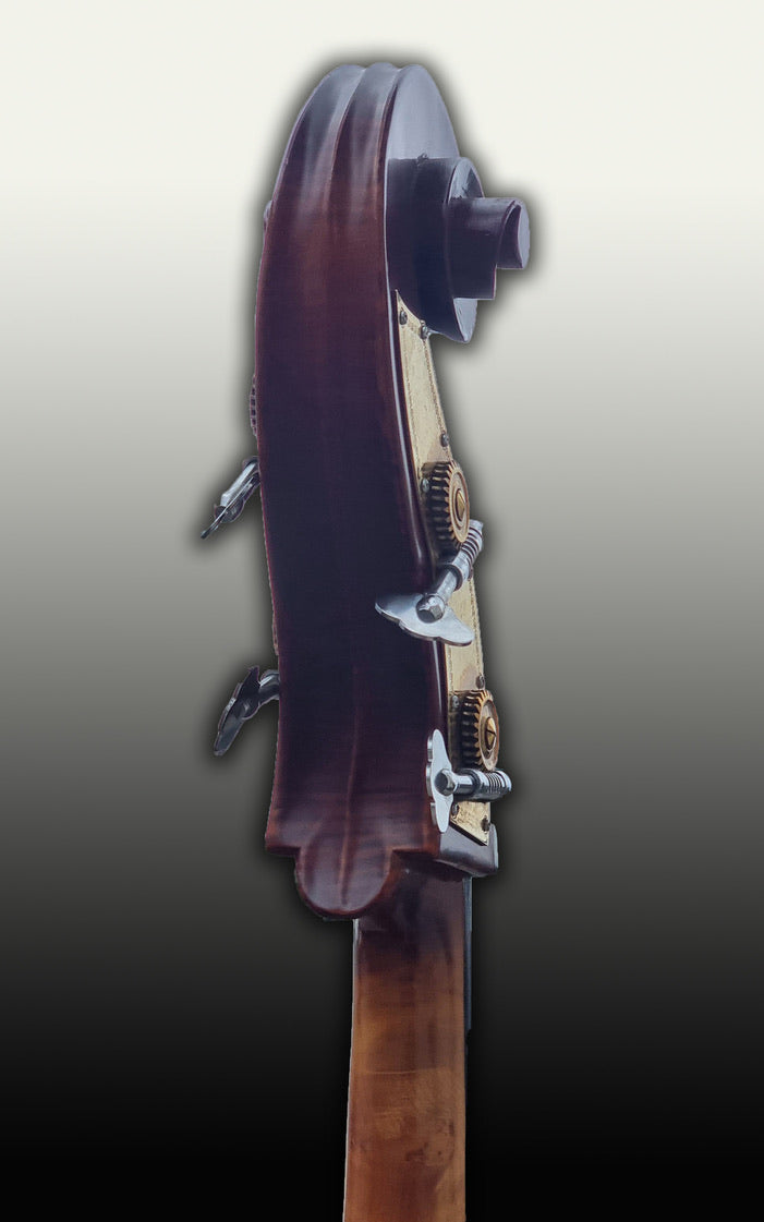 Gedo Upright Bass
