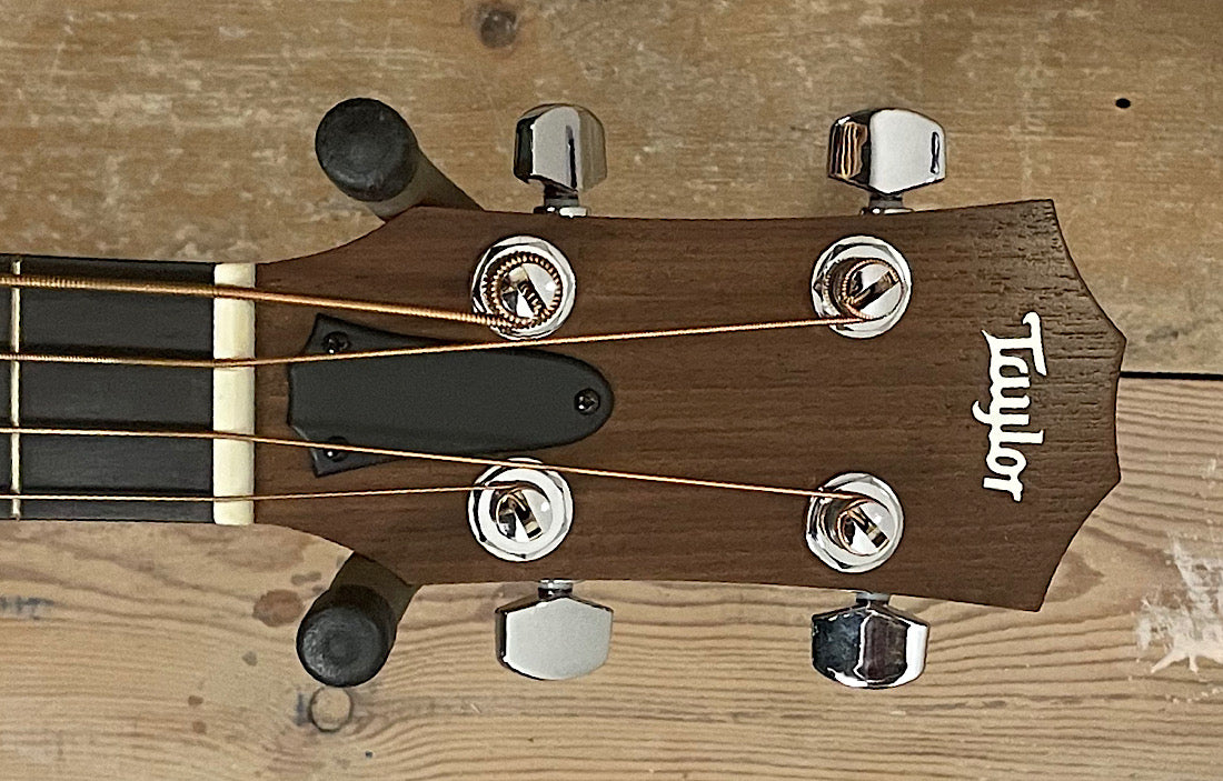 Taylor GSminiE (Pre Owned)