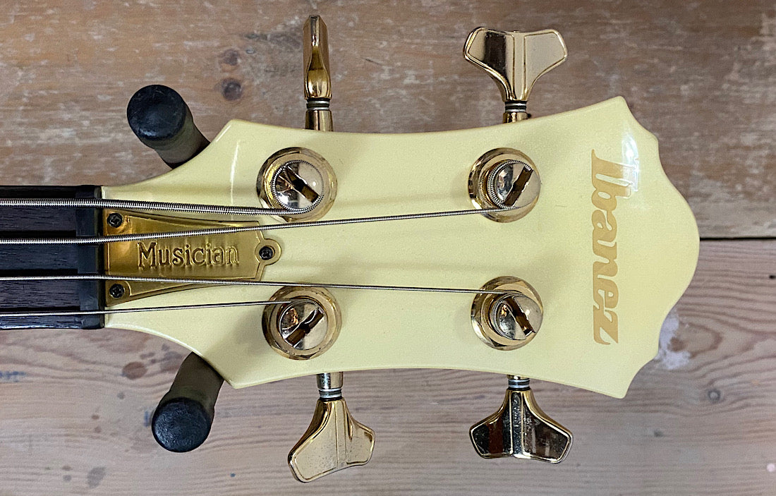 Ibanez Musician