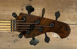 Sei Jazz V