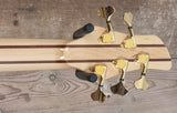 Lewicki Custom Fretless V
