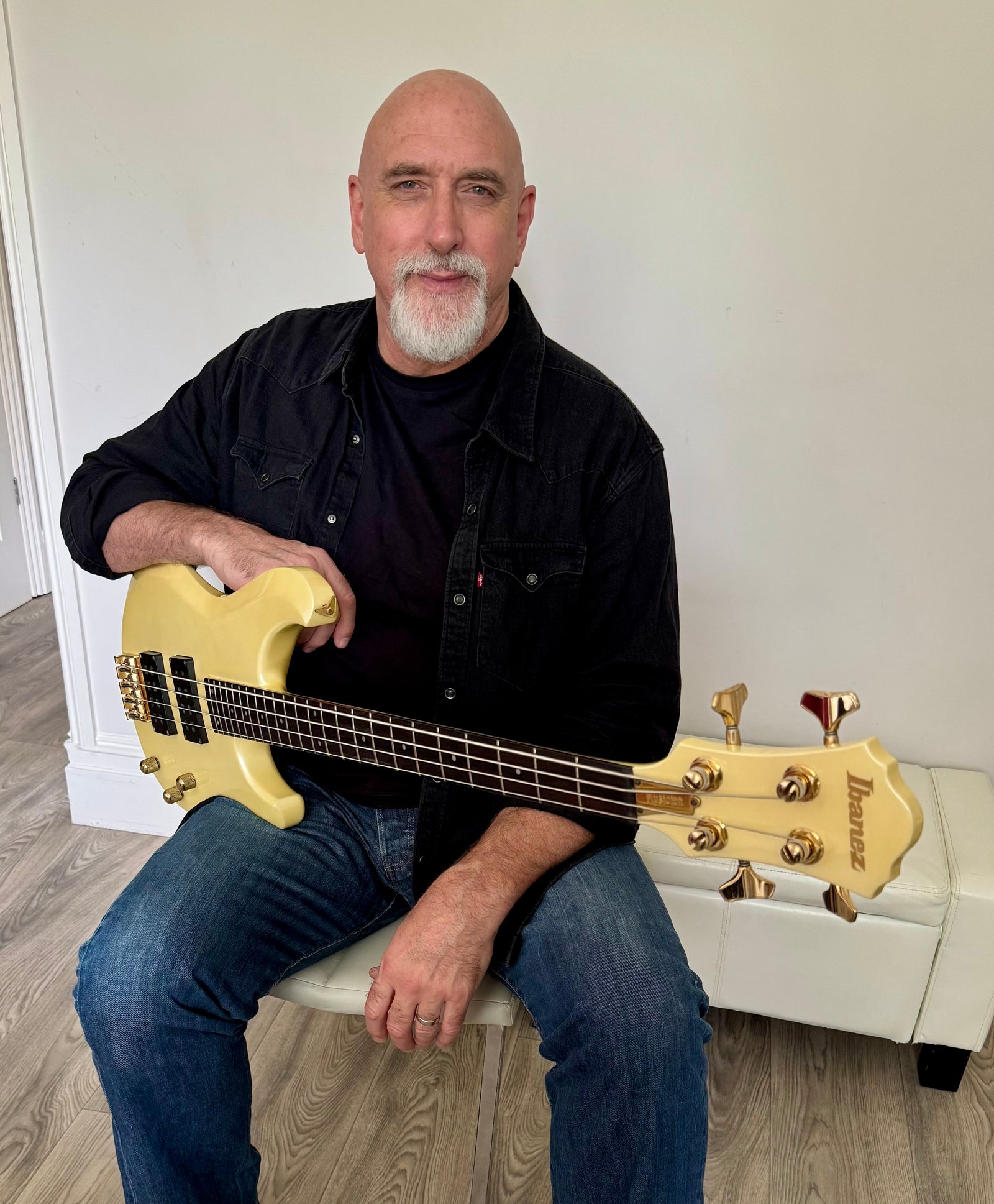 Ibanez Musician
