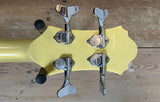 Ibanez Roadstar II