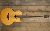 Takamine Acoustic Bass JG013
