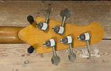 Lakland USA V 1998