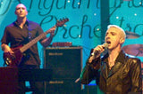 Walter Woods Bass Head Amber Light