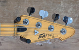 Peavey T40 1979