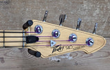 Peavey T40 1980