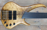 Sei Flamboyant 5 String Fretless