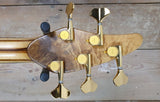 Sei Flamboyant 5 String Fretless
