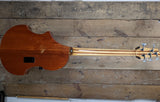 Overwater Expression 5 semi acoustic