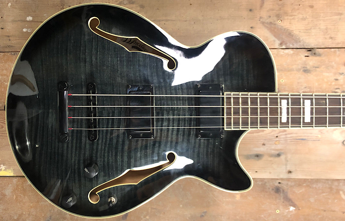 D’angelico New York Excel
