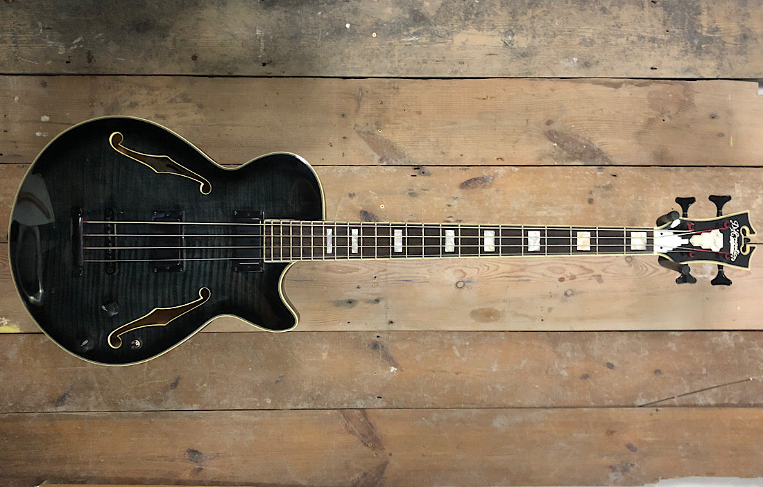 D’angelico New York Excel