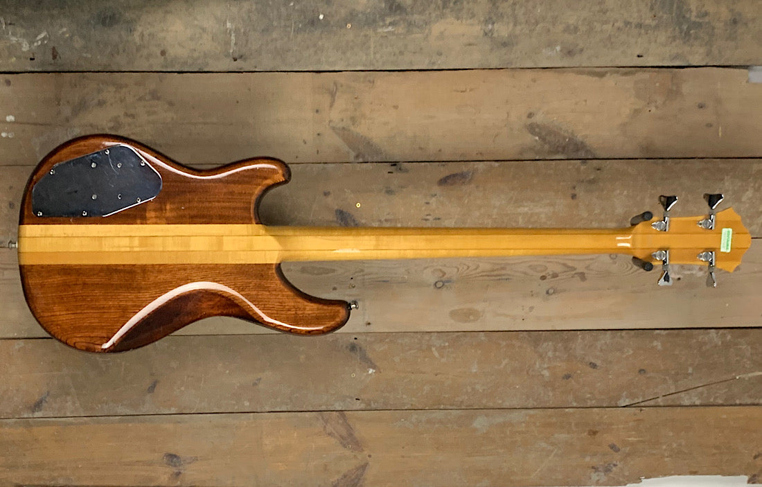 Ibanez Musician